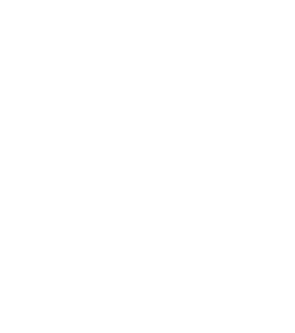 RealPix Logo