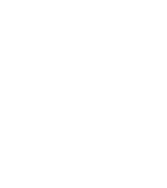 RealPix Logo